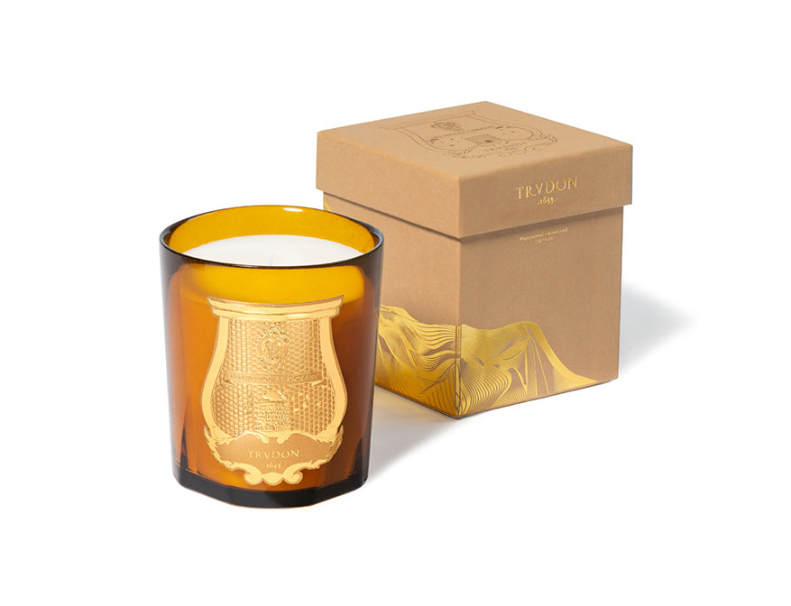 Duftkerze Altaïr von Trudon