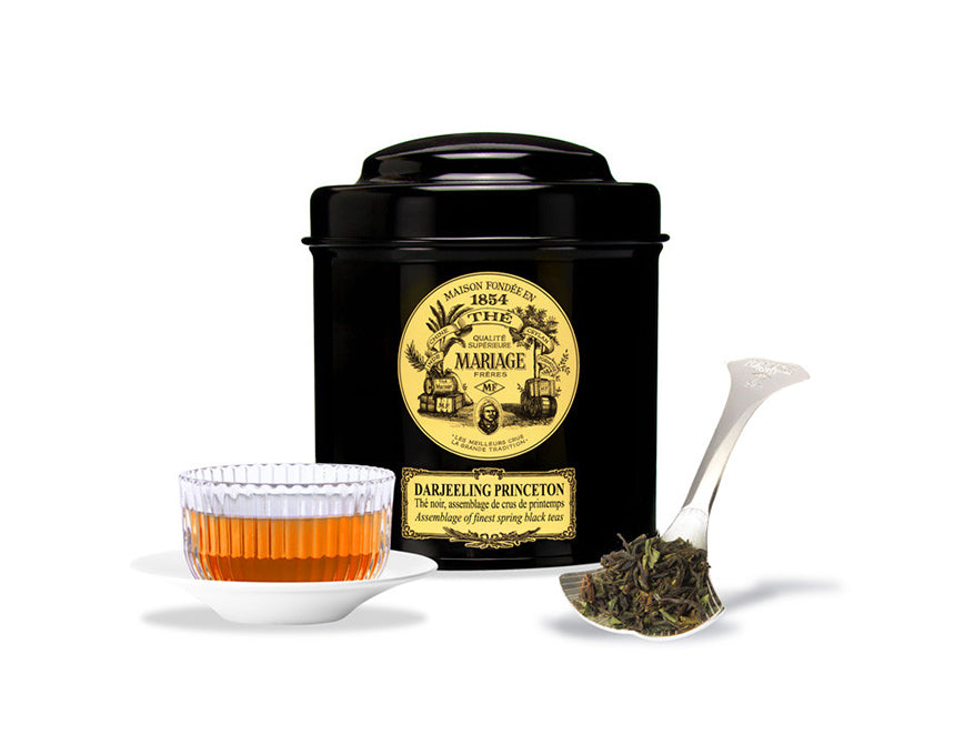 Tee Darjeeling Princeton