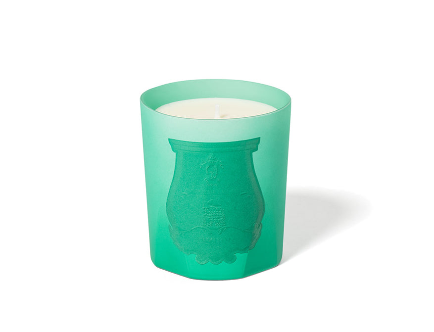 Duftkerze Under The Tree von Trudon