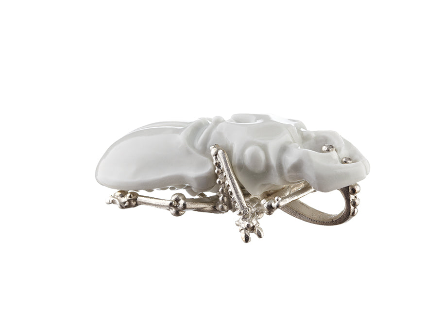 Hirschkäfer Weiß von Nymphenburg