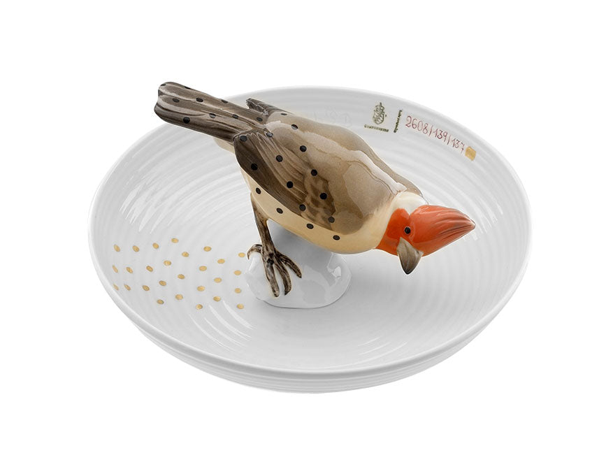 Tierschale Vogel Biskuitporzellan handbemalt und glasiert