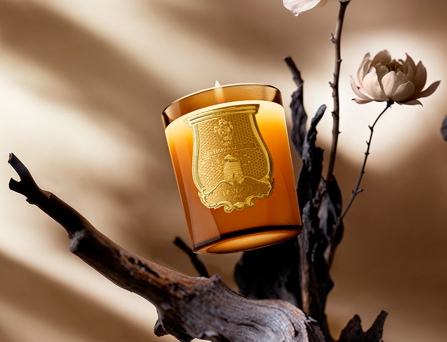 Duftkerze Altaïr von Trudon