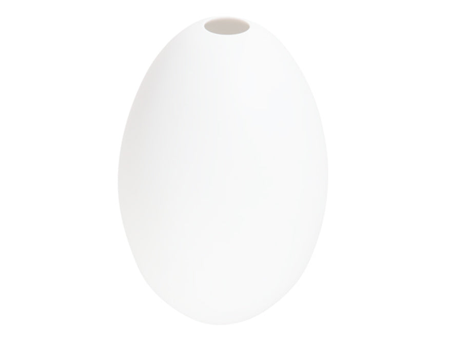 Eivase Weiß von Nymphenburg