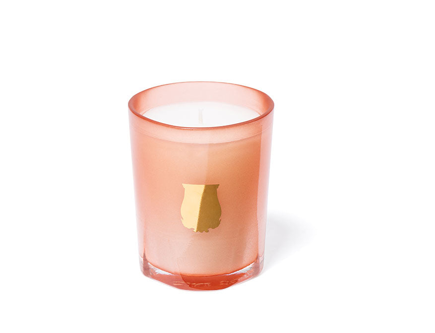 Duftkerze Tuileries von Trudon
