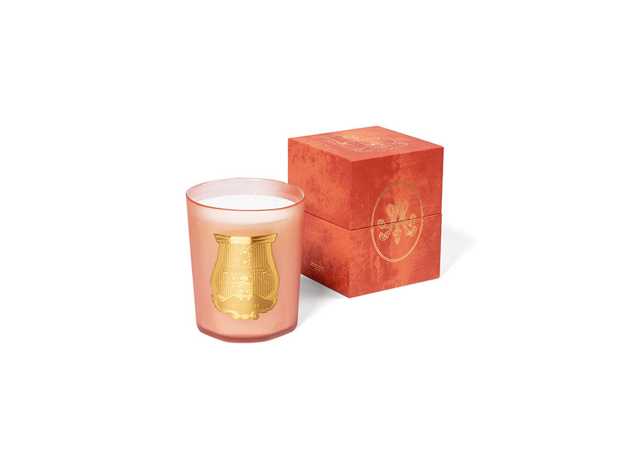 Duftkerze Tuileries von Trudon
