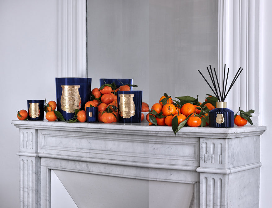 Diffusor Madurai von Trudon