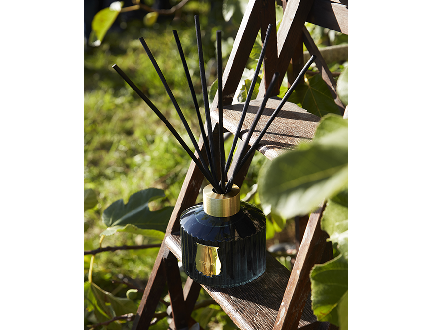 Diffusor Figuerie von Trudon