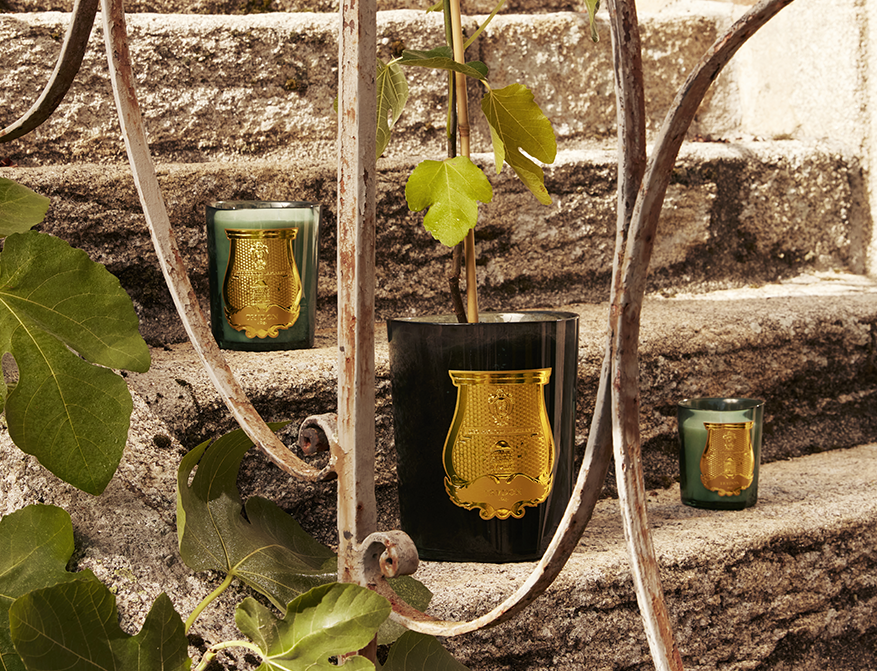 Duftkerze Figuerie von Trudon