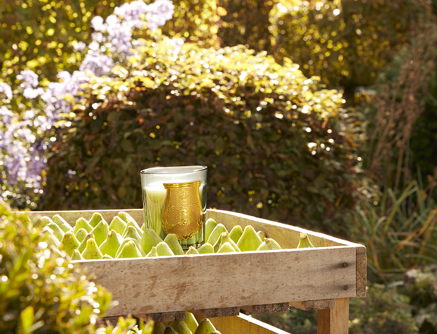 Duftkerze Figuerie von Trudon