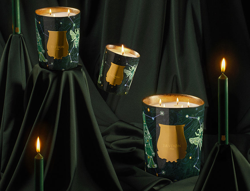 Duftkerze Fir Winter Christmas Edition 2025