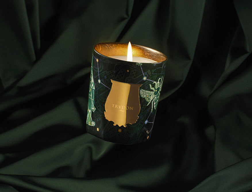 Duftkerze Fir Winter Christmas Edition 2025